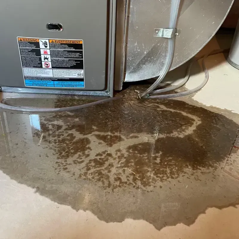 Appliance Leak Cleanup in Tri-Lakes, IN